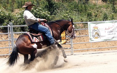 Este fin de semana, Reining en Jaca