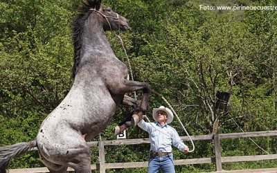 Este fin de semana, Reining en Jaca